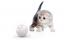 Xiaomi Petoneer Pet умный мячик для кошек