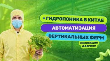 Embedded thumbnail for Гидропоника в Китае: Сколько стоит запустить вертикальную ферму в Китае?
